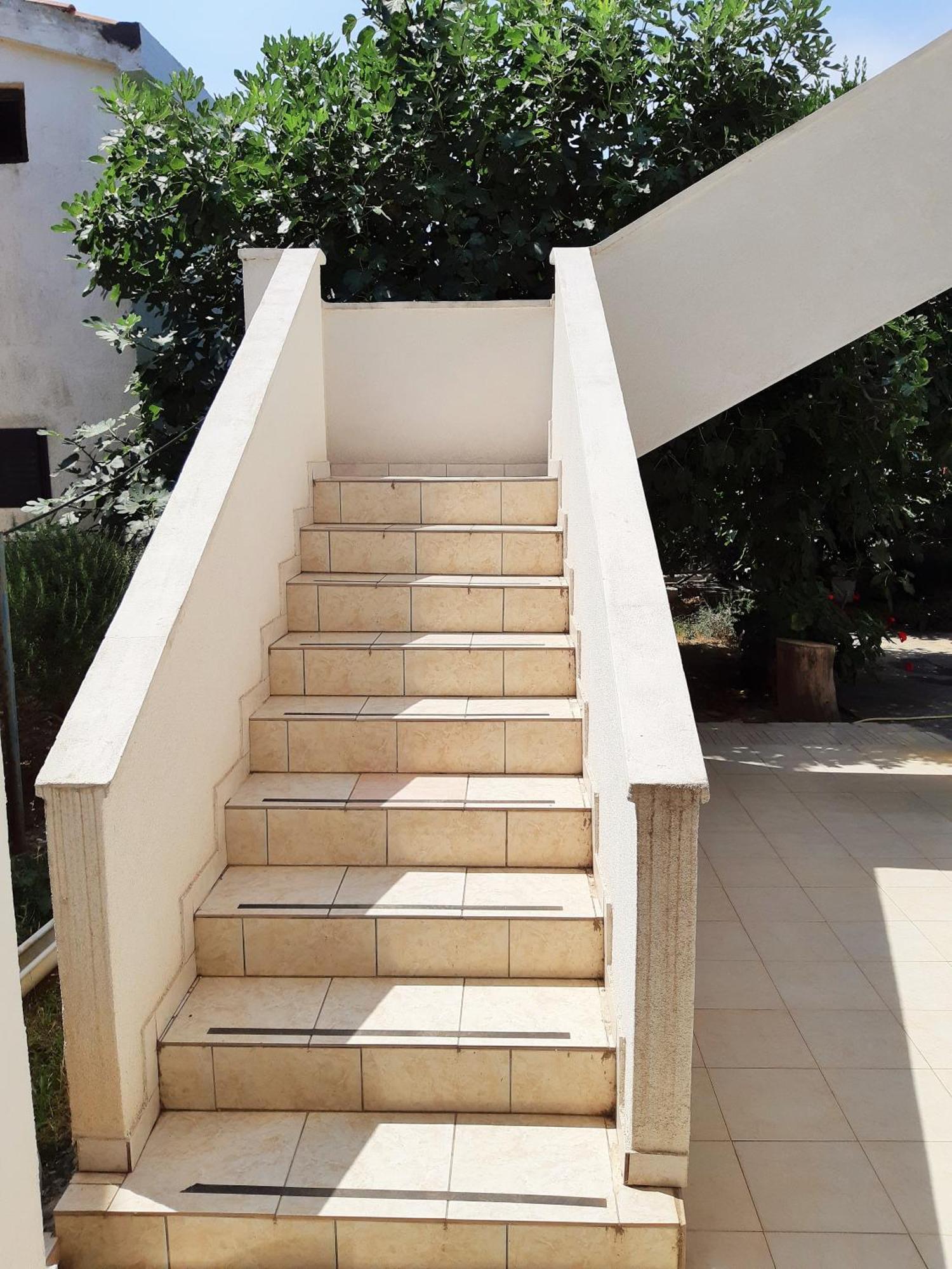 Dalmatino Apartmani Vir Habitación foto